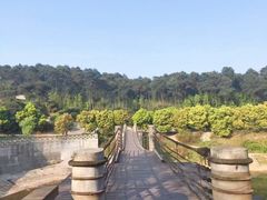 -铁山坪森林公园