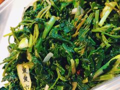 乡野灰灰菜-左陕右甘(亚运村店)