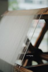 景点-太湖雪蚕桑文化园