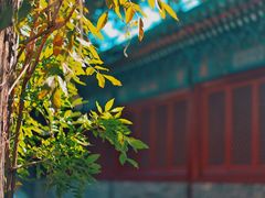 -北京国子监胡同