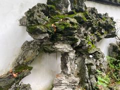 -上海醉白池公园