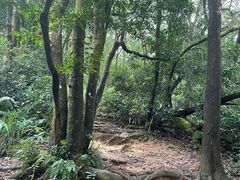 -梧桐山风景名胜区