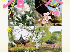 -南汇桃花村