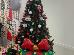 -英孚教育青少儿(河东中心)