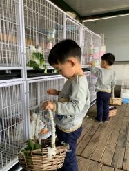 -小蜜蜂农场(凯德七宝购物广场店)