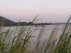 -羚羊峡古栈道森林公园