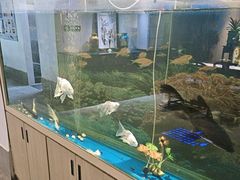 -食悦江南·淮扬菜·烤鸭(亚运村·惠新店)