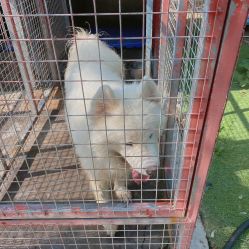 -萌宠亲子动物乐园(槐房万达店)