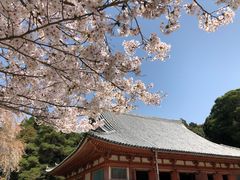 -醍醐寺