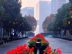 -重庆市江北嘴中央商务区中央公园