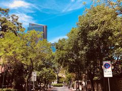 -天津五大道文化旅游区