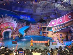 -烟台海昌鲸鲨海洋公园