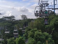 -圣淘沙天际线斜坡滑车