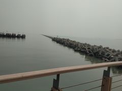 -东疆建设开发纪念公园