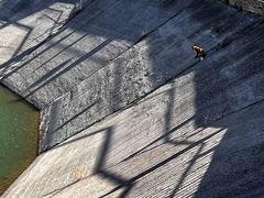 -北京十三陵国家森林公园蟒山景区