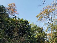 -广州市石门国家森林公园