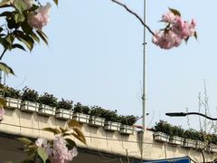 -上海孙中山故居纪念馆