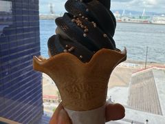 -大阪海游馆