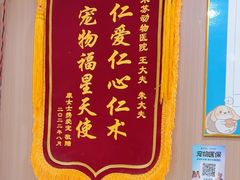 -米苏动物医院·犬猫专科·骨科外科内窥镜