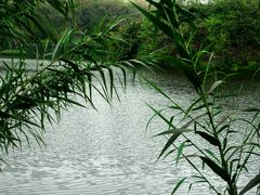 -重庆彩云湖湿地公园