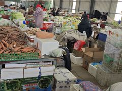 -韩家墅海吉星农产品批发市场