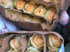 -秦美花卉(天朗·莱茵小城2期店)