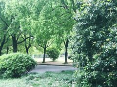 -浙江大学(玉泉校区)