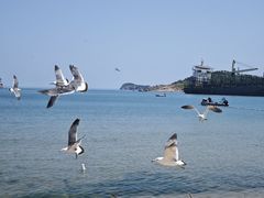 -海驴岛(荣成市)