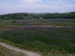 -嘉百乐超市(新东街店)