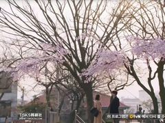 -琉璃餐厅(德基广场店)