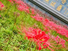 -西安大兴善寺