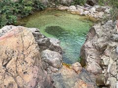 -南海湾森林生态园
