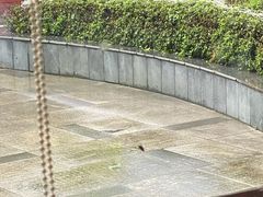 -岷山饭店-芝芝自助餐厅