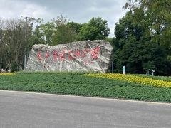 -东平国家森林公园