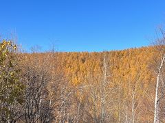 -塞罕坝国家级自然保护区