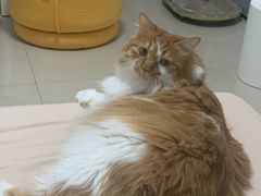 -海关荤豆花(洋河一路店)