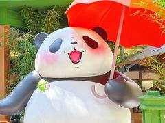 -轩客会(熊猫书店)