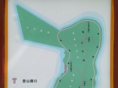 -野狸岛