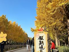 -玲珑塔公园