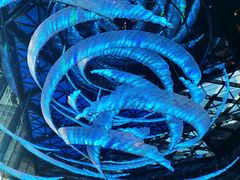 -西安W酒店·WEI全味西餐厅