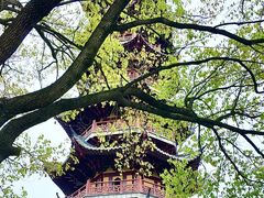 -龙华寺