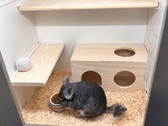 -龙猫仔乐园(惠福东路店)