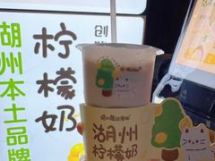 -猫的魔法密林(衣裳街店)