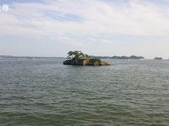 -松岛