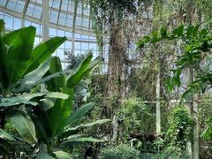 -昆明植物园