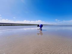 -南汇嘴观海公园