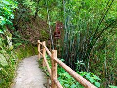 -牛鱼嘴原始生态风景区
