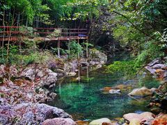 -石台牯牛降景区