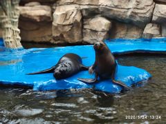 -华夏文旅海洋公园