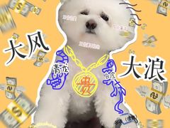 -新世界大丸百货